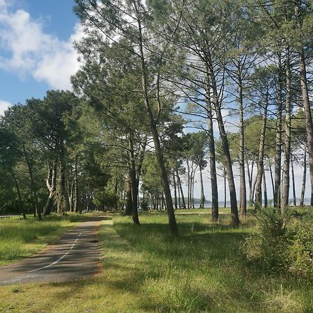 ביסקארוס Appartements Au Coeur Du Golf, Proche Du Lac Et Velodyssee מראה חיצוני תמונה