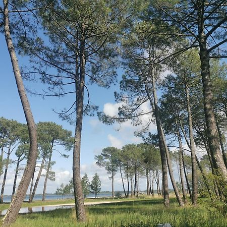 ביסקארוס Appartements Au Coeur Du Golf, Proche Du Lac Et Velodyssee מראה חיצוני תמונה