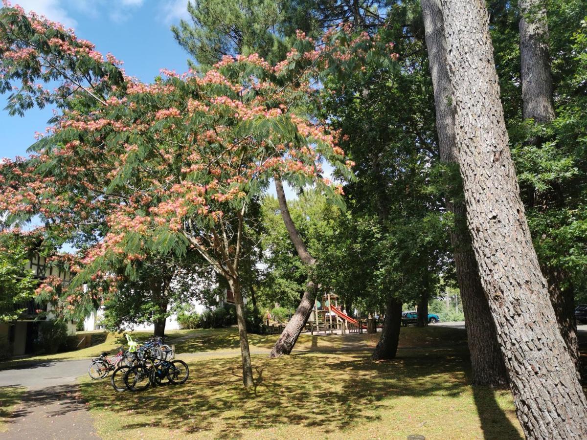 ביסקארוס Appartements Au Coeur Du Golf, Proche Du Lac Et Velodyssee מראה חיצוני תמונה