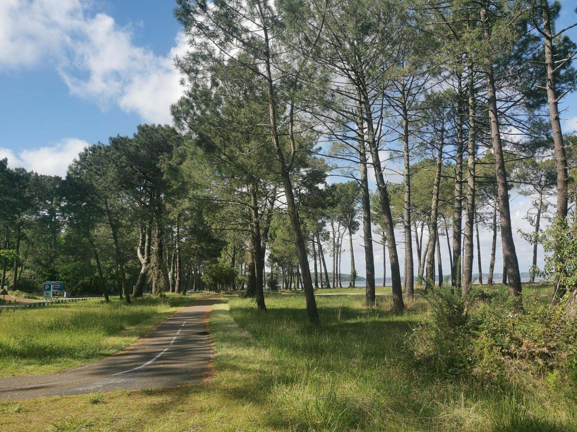 ביסקארוס Appartements Au Coeur Du Golf, Proche Du Lac Et Velodyssee מראה חיצוני תמונה